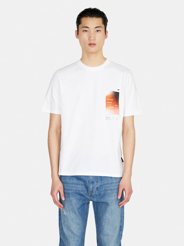 100% cotton t-shirt with print - men's short sleeve t-shirts | Sisley
